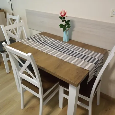 Apartament Krynica Morska 公寓