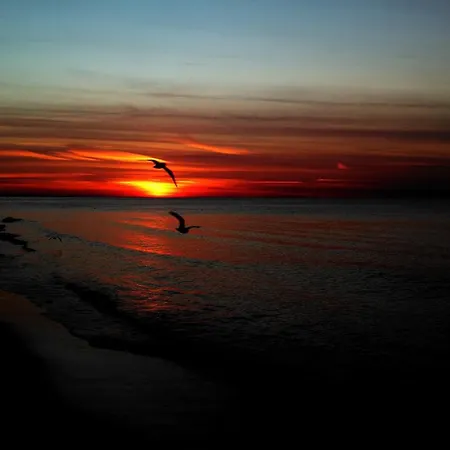 Apartament Krynica Morska