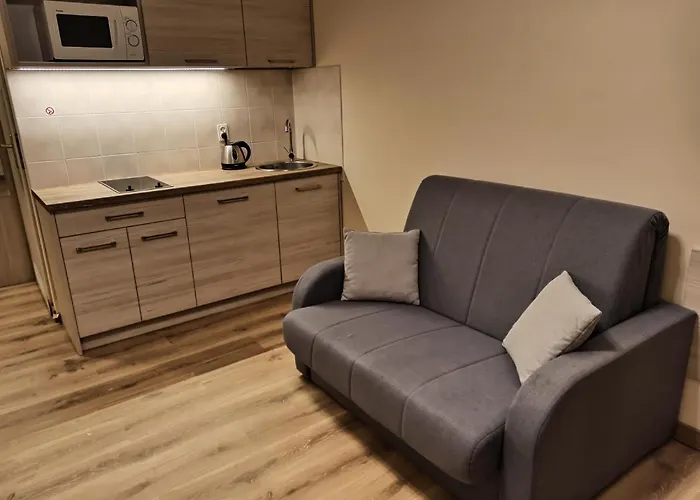 公寓 Apartament Krynica Morska 库瑞尼卡慕斯卡