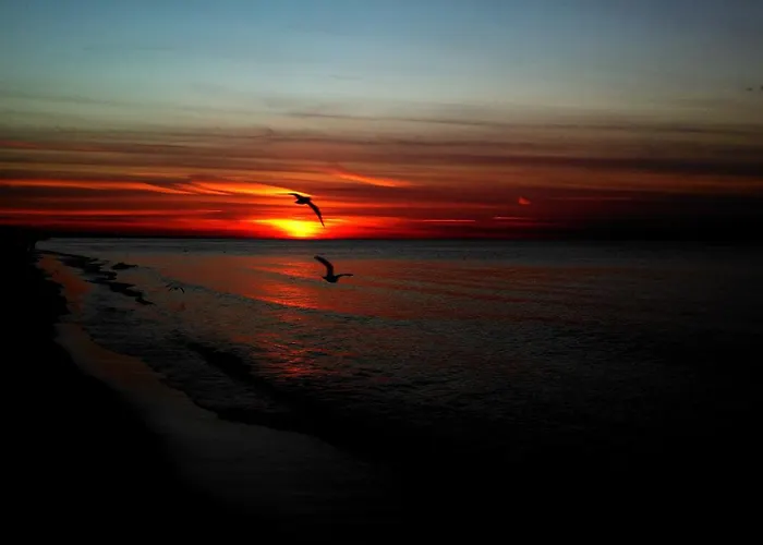 Apartament Krynica Morska