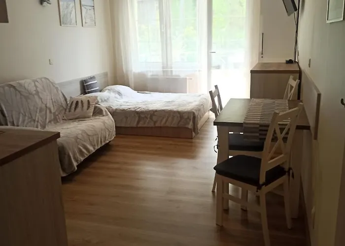 公寓 Apartament Krynica Morska *